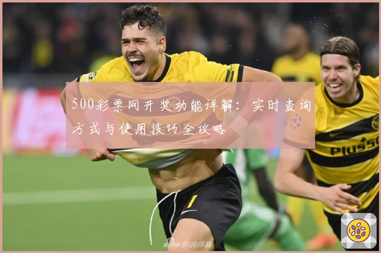 500彩票网开奖功能详解：实时查询方式与使用技巧全攻略