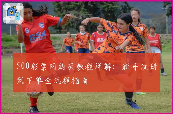 500彩票网购买教程详解：新手注册到下单全流程指南
