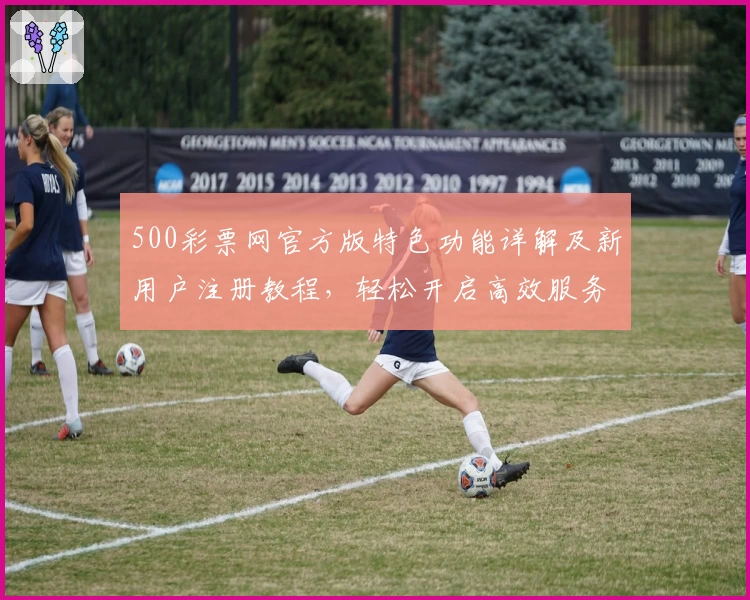 500彩票网官方版特色功能详解及新用户注册教程，轻松开启高效服务体验