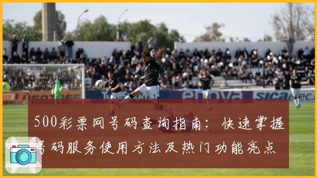 500彩票网号码查询指南：快速掌握号码服务使用方法及热门功能亮点解析