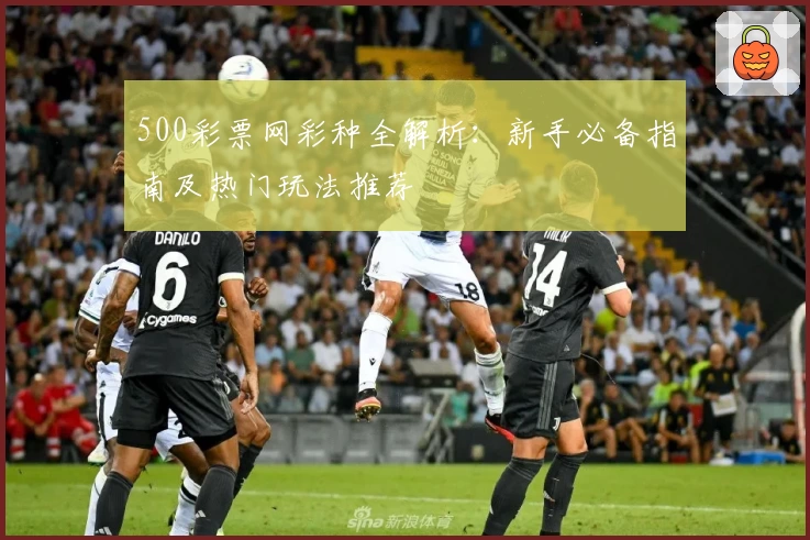 500彩票网彩种全解析：新手必备指南及热门玩法推荐