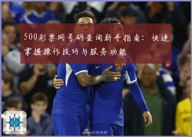 500彩票网号码查询新手指南:快速掌握操作技巧与服务功能
