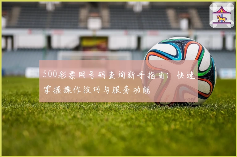 500彩票网号码查询新手指南：快速掌握操作技巧与服务功能