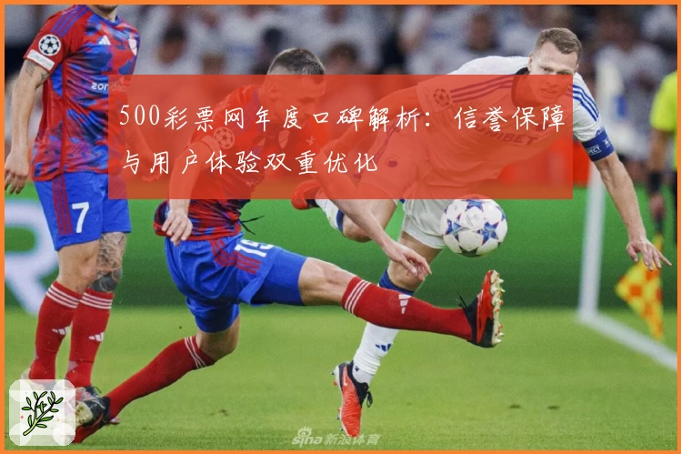 500彩票网年度口碑解析：信誉保障与用户体验双重优化