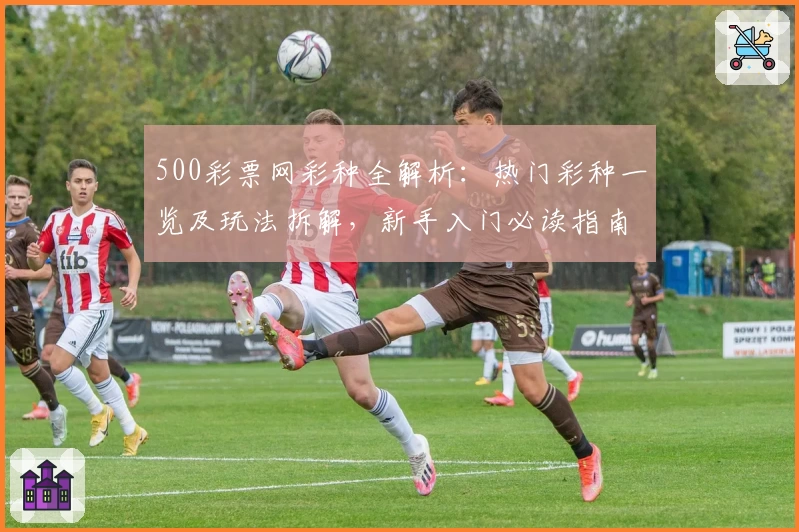 500彩票网彩种全解析：热门彩种一览及玩法拆解，新手入门必读指南